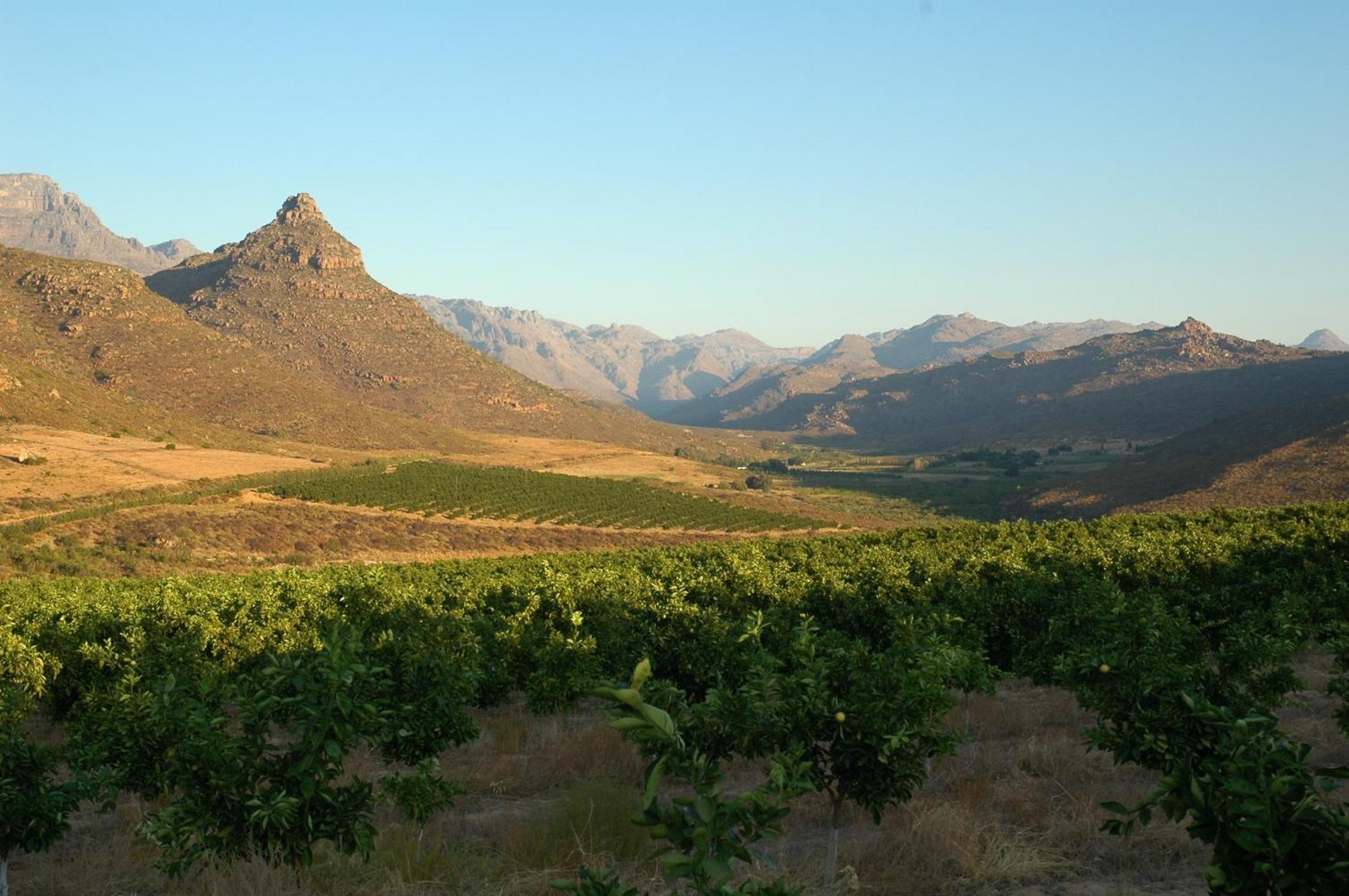 Klein Boschkloof Villa Clanwilliam Exterior foto