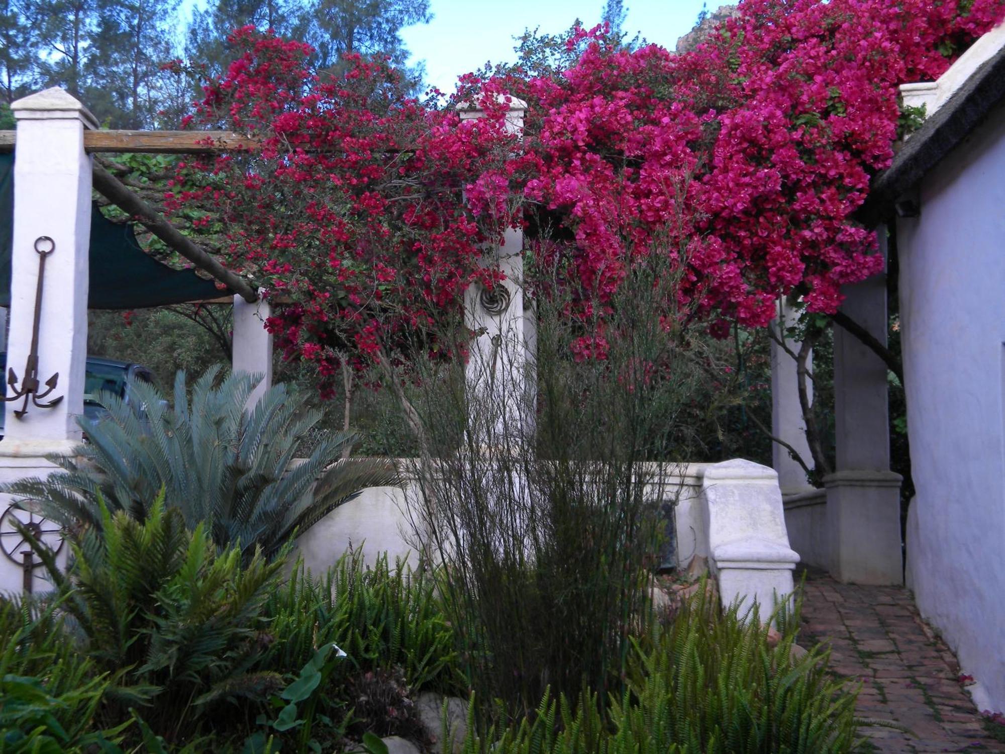 Klein Boschkloof Villa Clanwilliam Exterior foto